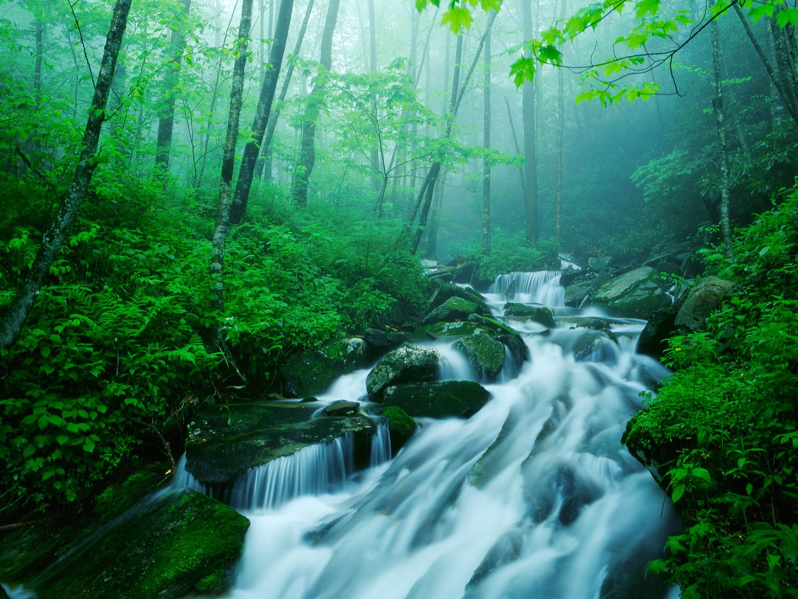 Nature Scenes - Rivers and Creeks nÂ° 1 (Fiumi e Insenature)