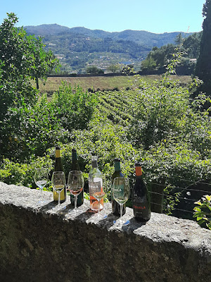 garrafas de vinhos na Quinta de Covela