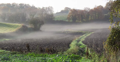 Mist lifting off fields in the early sun