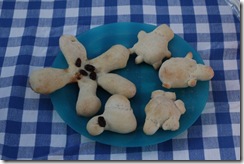 bread starfish and turtles