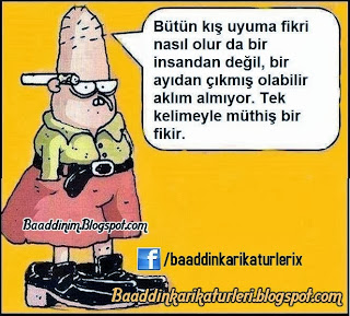 baaddin pıçak karikaturleri