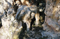 Escultura del León, jardines Artigas en la Pobla  de Lillet