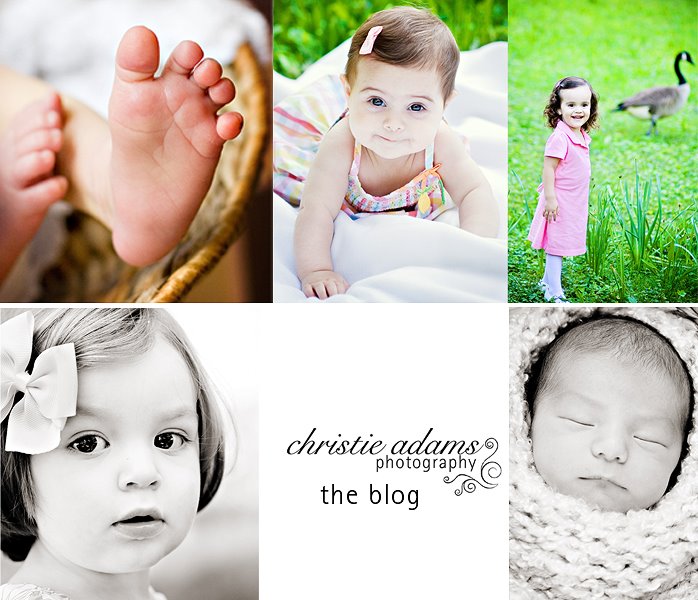 Christie Adams Photography