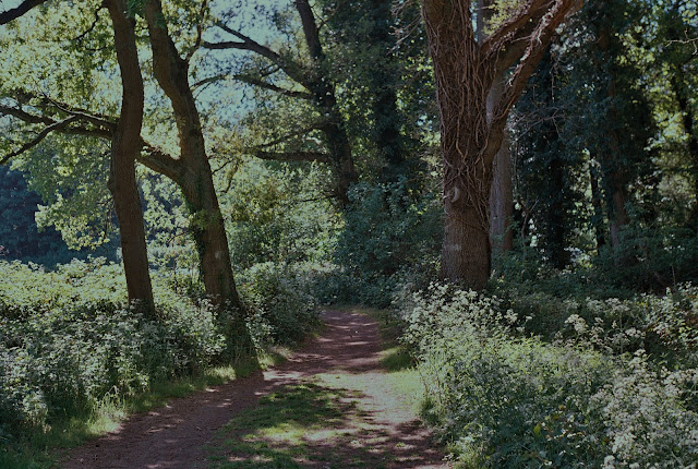 country path