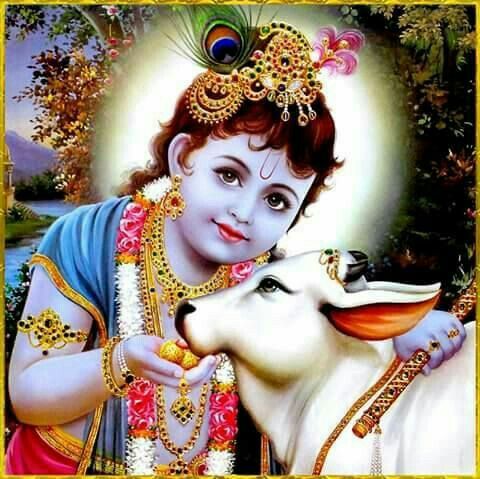 Sweet Lord Krishna Photo with Cow
