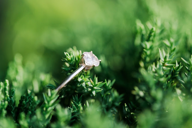 A Summer Engagement Session in Georgetown at the Old Stone House and Canal | Photos by Heather Ryan Photography