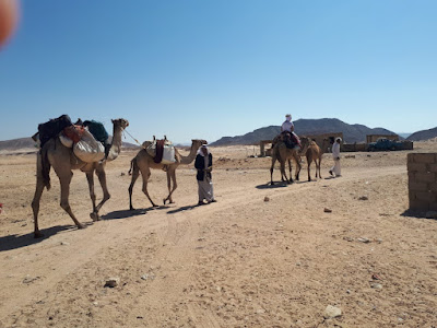 White desert