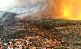 Πυρκαγιά στον Κρεμαστό Εύβοιας  S.A.R.  312