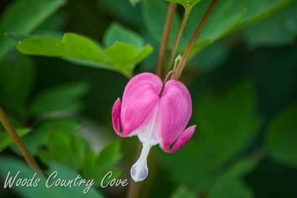AUGUST 2015 (13 of 25)
