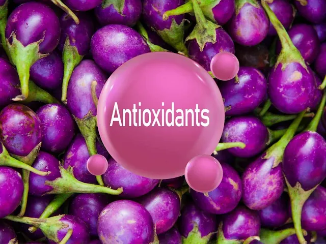 Eggplant is rich in antioxidants