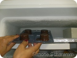 levo ao freezer