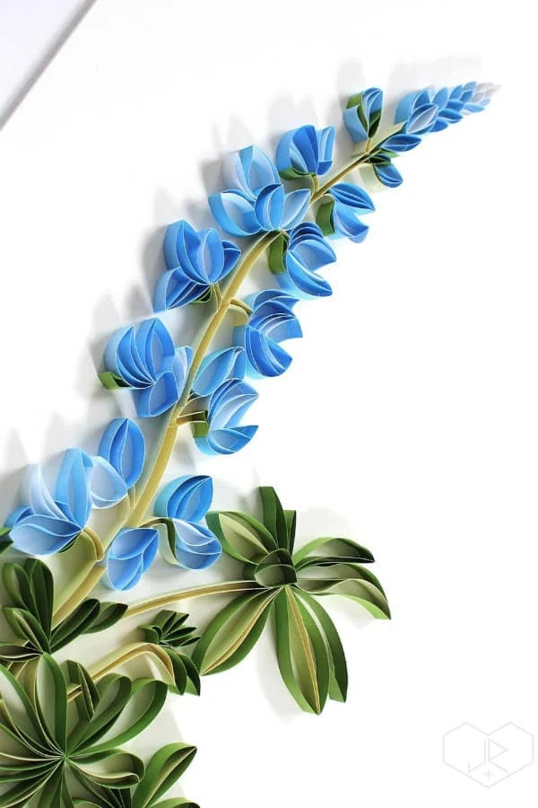 quilled lupine