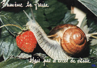 escargot fraise