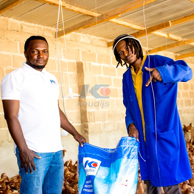 TUMIA BIDHAA ZA KOUDIJS KWA MATOKEO BORA KATIKA UFUGAJI WAKO