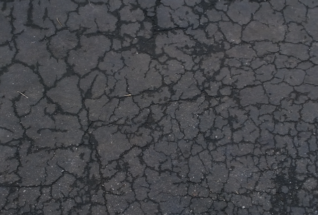 Cracks in pavement, darkened by moisture.