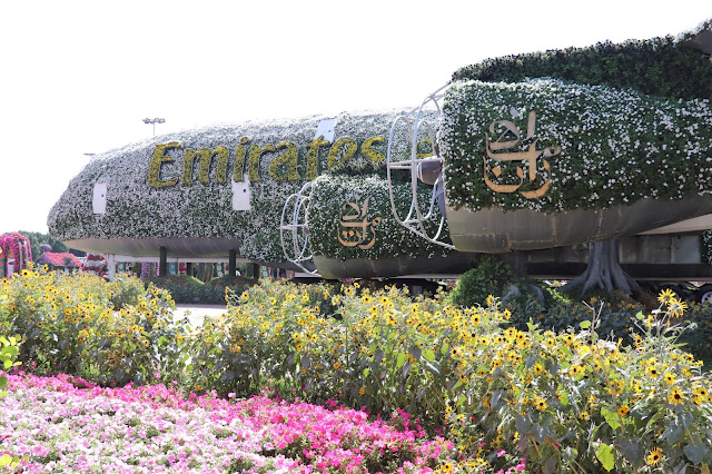 #TheLifesWayCaptures - Miracle Garden #Dubai #UAE - #PhotoReviews