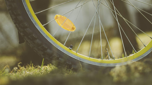 Wheel, Bicycle, Grass, Photography