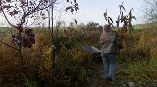 Carol Klein carrying Hedychiums