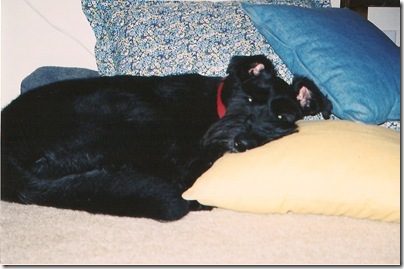 scan0041