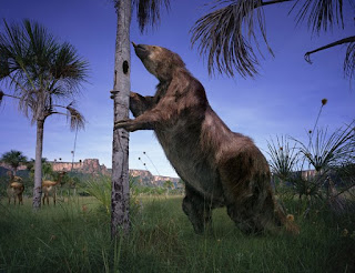 Megatherium