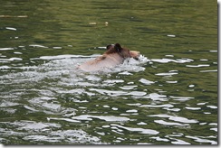 Shearwater to Khutze Inlet  May 31st 2012 027