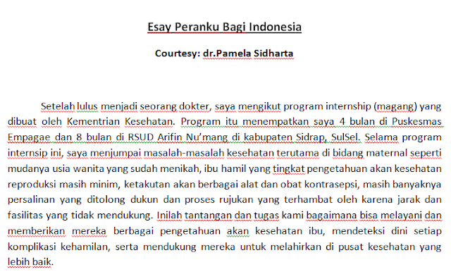 Contoh Essay Lpdp Kontribusiku Bagi Indonesia