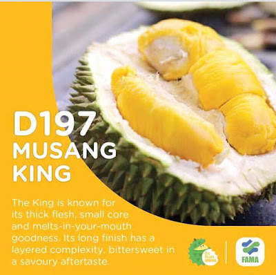 durian-musang-king