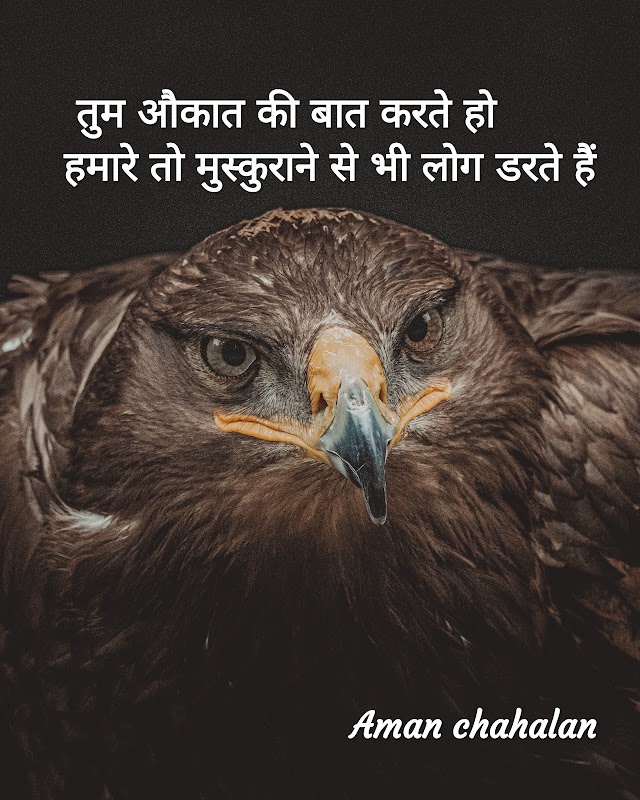 100+Eagle Killer Attitude quotes images 2021.New Attitude WhatsApp, Facebook, Instagram, Twitter images 2022s