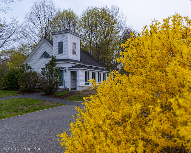 Portland, Maine USA April 2021 photo by Corey Templeton. A small chapel on Capisic Street. Framed by a bright forsythia plant on a rainy morning.