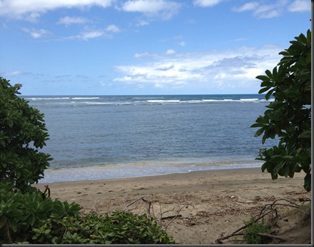 2013-04-03-Waihee03