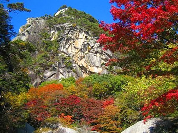 http://www.funmag.org/pictures-mag/flowers/fantastic-autumn-in-japan/