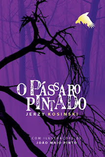 Resultado de imagem para o passaro pintado livro