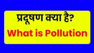 पर्यावरण प्रदूषण क्या है,पर्यावरण प्रदूषण क्या है निबंध,पर्यावरण प्रदूषण से आप क्या समझते हैं एवं इसके प्रकार बताइए,पर्यावरण प्रदूषण के प्रमुख कारण क्या है,प्रदूषण क्या है इसे रोकने के उपाय बताइए,पर्यावरण प्रदूषण क्या है इसके प्रकार एवं नियंत्रण के उपाय