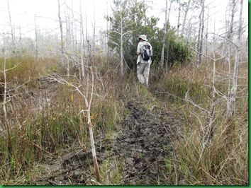 Gator Hook Trail 020