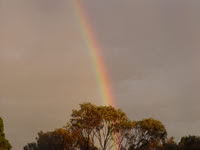 reiki healing