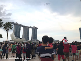 Singapore National Day Parade Fighter Planes