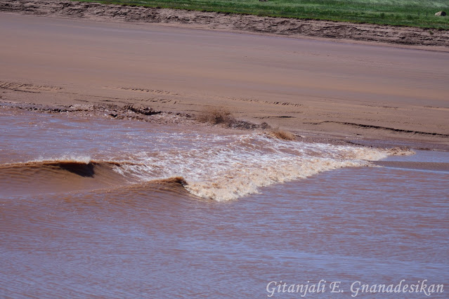 A couple breaking waves as the tidal bore picks up speed.