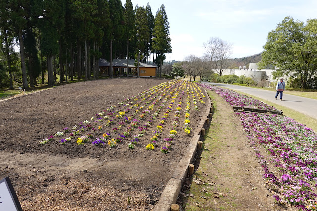 鳥取県西伯郡南部町鶴田 とっとり花回廊 花の丘