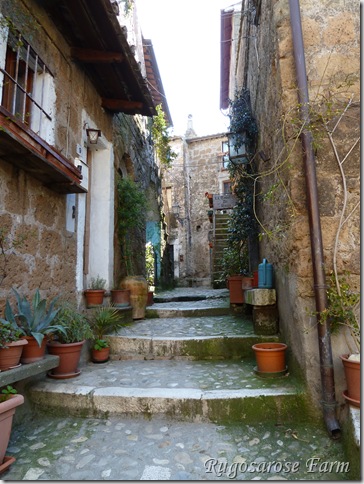 p1000235 (2)