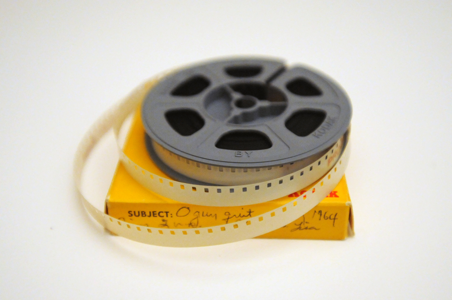 Smithsonian Collections Blog: The Summer of Super 8