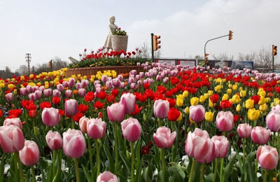 gaziantep, tahmis kahve, evirgeç, yöresel yemekler, gaziantep e özgü yemekler, havaalanı, harikalar diyarı, parkantep, botanik park, masal parkı, zekeriya usta, turkcell bilim parkı, gezegen evi, bilim müzesi, park, menengiç, zahter