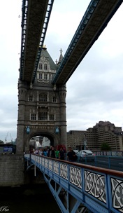 P1020523