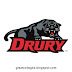 Drury University