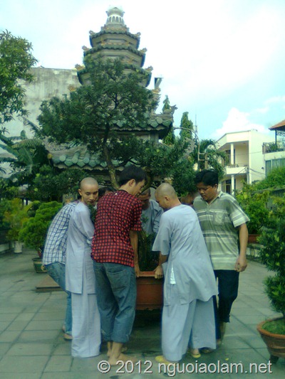 tang lễ hòa thượng Thích Minh Châu - 39