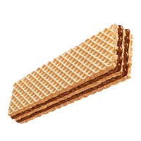 wafer