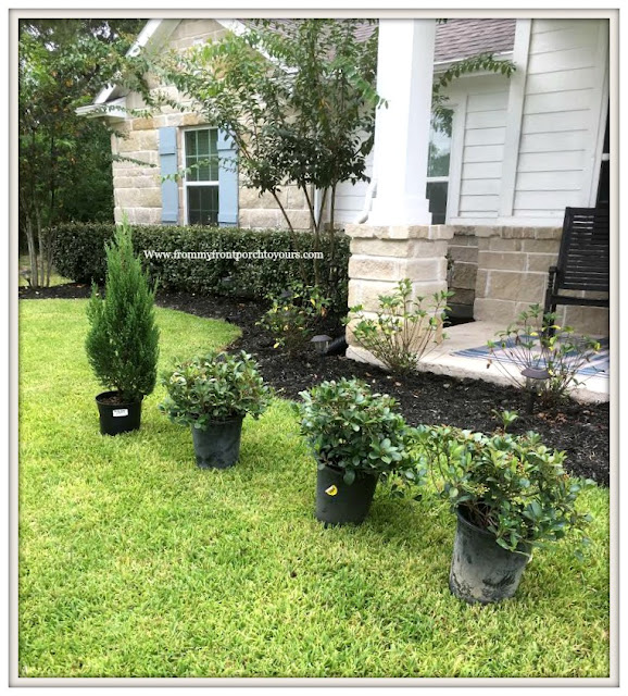 Flower Beds-Curb Appeal-Landscape-DIY-Gardening-Hawthorns-Cypress-From My Front Porch To Yours