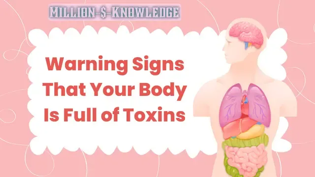 Warning signs that your body is full of toxins