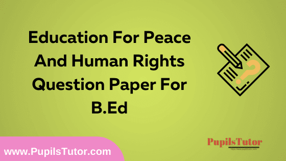 Education For Peace And Human Rights Question Paper For B.Ed 1st And 2nd Year And All The 4 Semesters In English, Hindi And Marathi Medium Free Download PDF | Education For Peace And Human Rights Question Paper In English | Education For Peace And Human Rights Question Paper In Hindi | Education For Peace And Human Rights Question Paper In Marathi