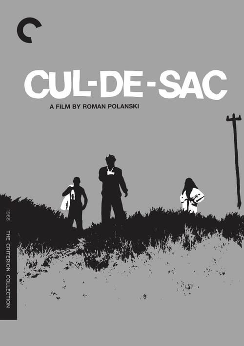 Cul-de-sac 1966 Film Completo Download