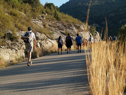 La carretera de Centelles o Camí de Can Sants